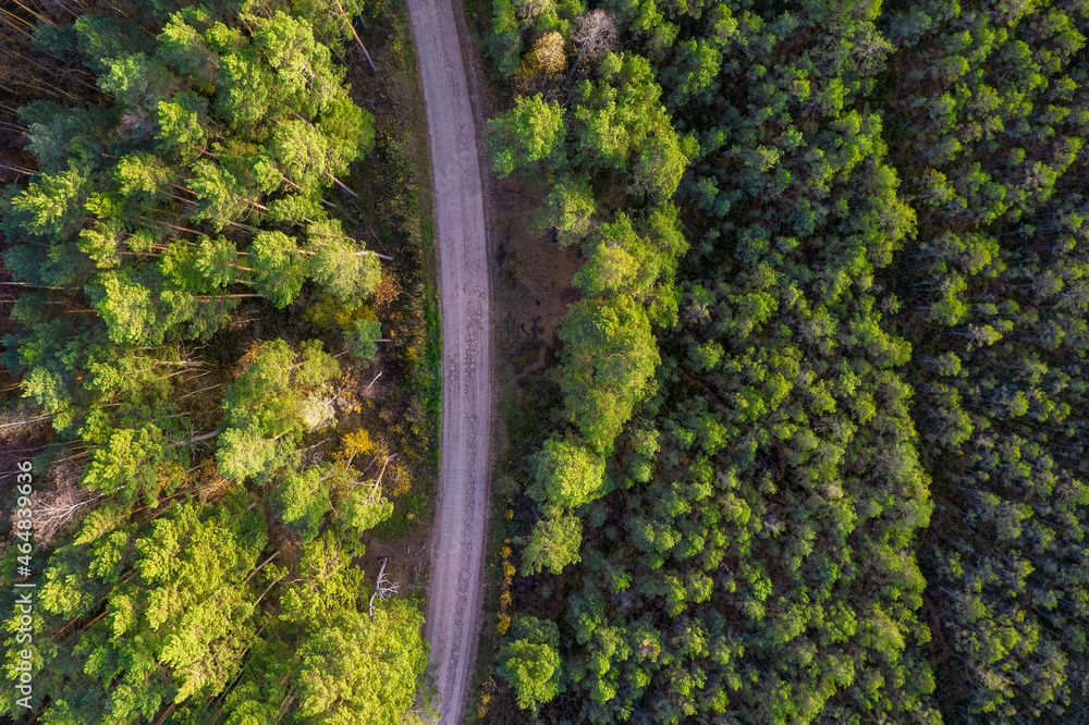 Aerial view from drone of rural road leading through autumn forests and groves in yellow green colors. Dense forest in golden time and empty highway in fall season. Roadway among colorful treetops Aerial view from drone of rural road leading through autumn forests and groves in yellow green colors. Dense forest in golden time and empty highway in fall season. Roadway among colorful treetops