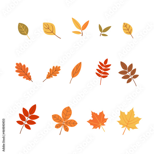 Leaves set. Vector illustration for stickers  stationery  decoration.