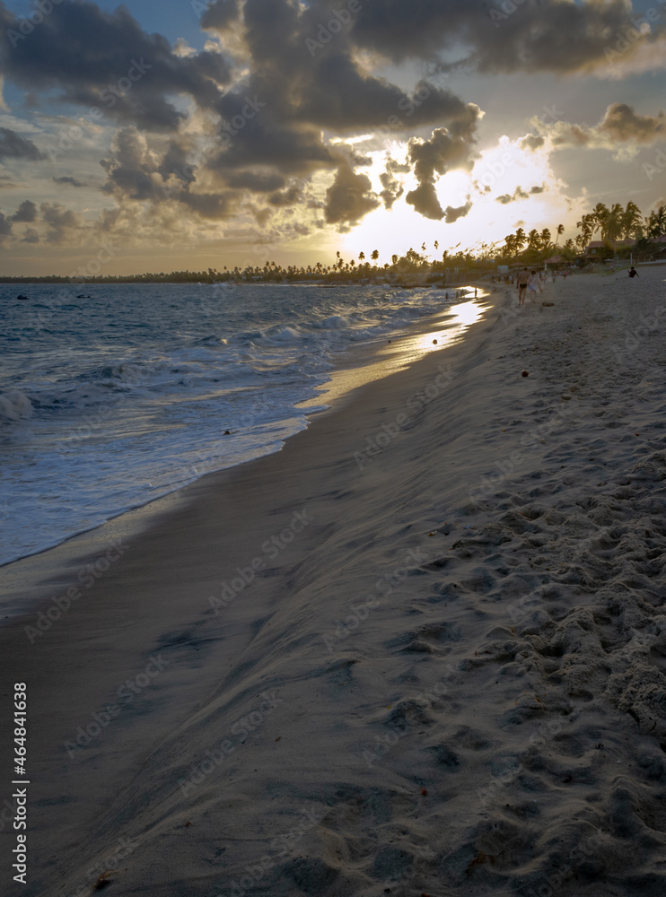 custom made wallpaper toronto digitalBeaches of Brazil - Serrambi beach - Pernambuco state