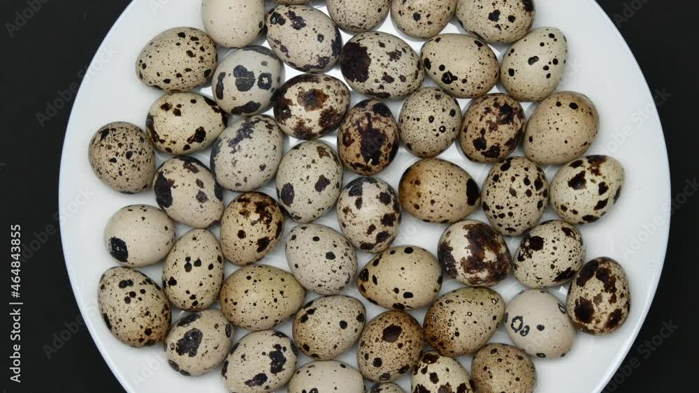 Rotating Quail Eggs On A White Plate On A Black Background. Top View. Close Up. Rotating Quail Eggs On A White Plate On A Black Background. Top View. Close Up.
