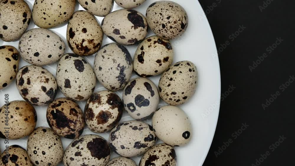 Rotating Quail Eggs On A White Plate On A Black Background On Left Side. Top View. Close Up. Rotating Quail Eggs On A White Plate On A Black Background On Left Side. Top View. Close Up.