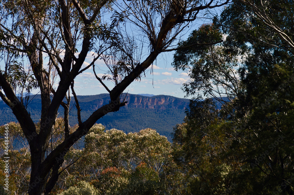 A view in the Blue Mountains at Wentworth Falls A view in the Blue Mountains at Wentworth Falls