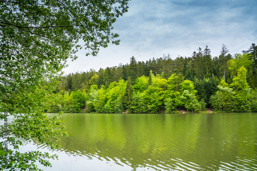 Germany, Herrenbachstausee lake water at green forest and nature landscape near adelberg and goeppingen