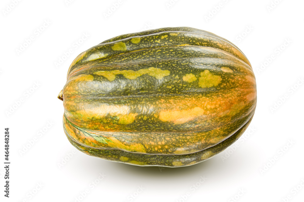 Japanese green pumpkin on white background Japanese green pumpkin on white background