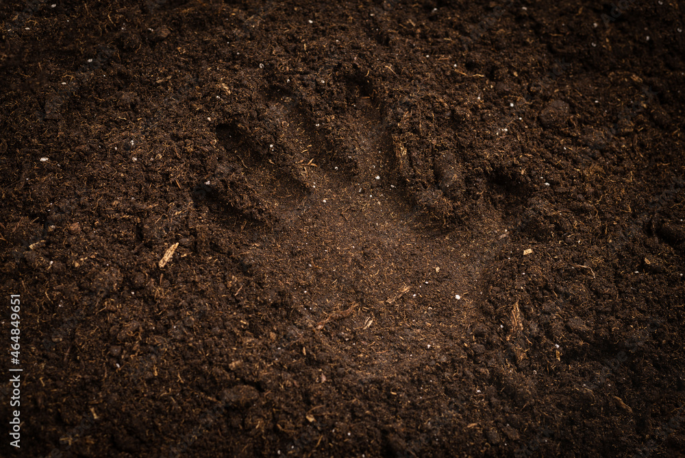 Woman hand trace on a ground. Woman hand trace on a ground.