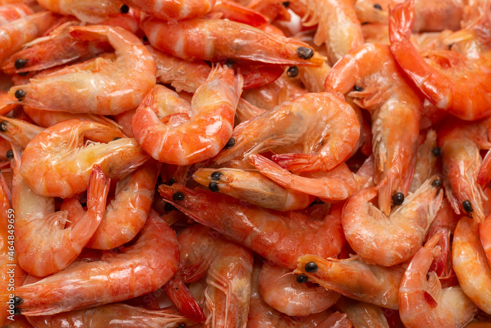 Shrimps background texture. A lot of shrimps. Cooked shrimps. Shrimps background texture. A lot of shrimps. Cooked shrimps.