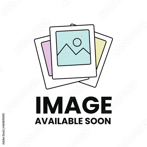 Image available soon sign. Internet web illustration to indicate the absence of image until it will be downloaded.