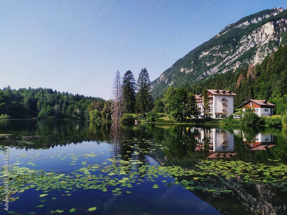 Riflessi sul lago di Cei in Trentino in una giornata serena con il cielo senza nuvole ninfee e conifere