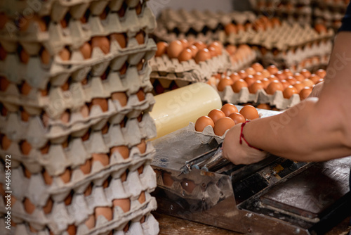 Quadro su tela Proceso de empaque de cartones de huevos para la venta
