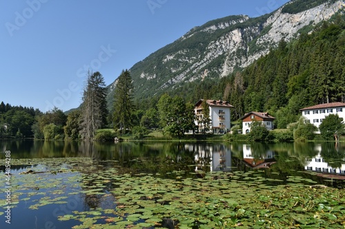 Riflessi sul lago di Cei in Trentino in una giornata serena con il cielo senza nuvole ninfee e conifere