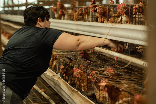 Mujer recolectando huevos en una granja avícola photo