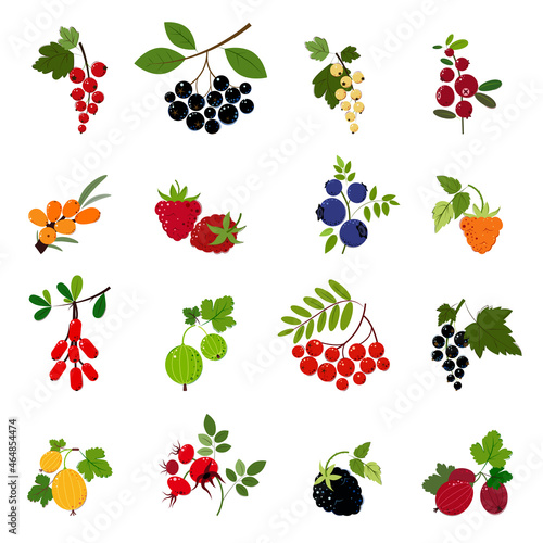 Set of Berries. 