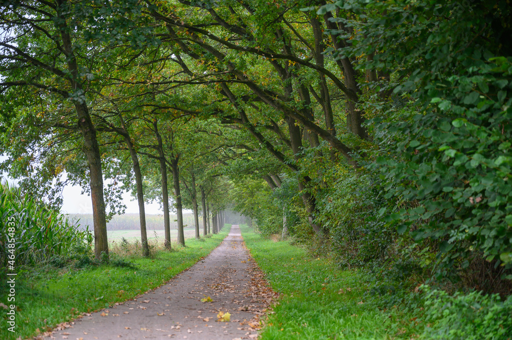 Fototapeta premium Schaalsee im Herbst