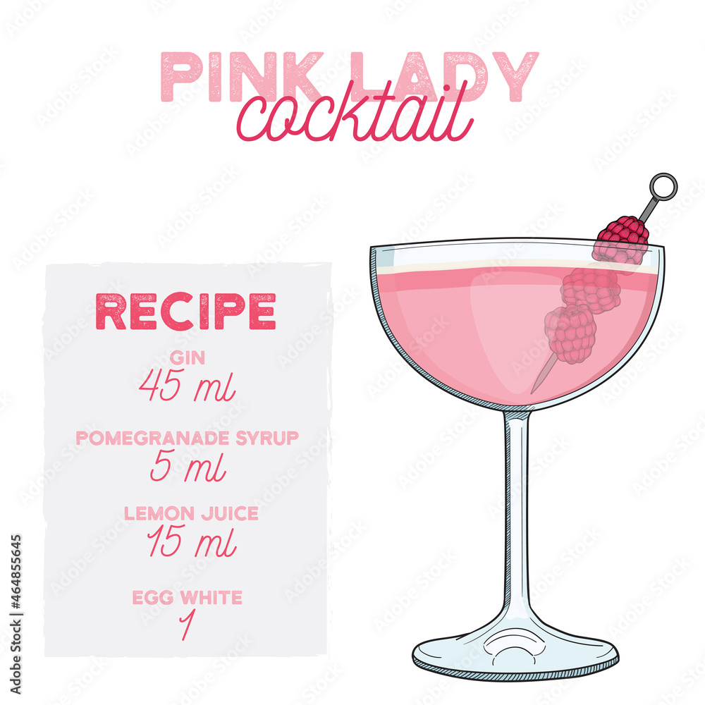 Hand Drawn Pink Lady Summer Cocktail. Drink with Ingredients Stock