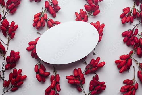 card mockup with red berries. barbaris photo