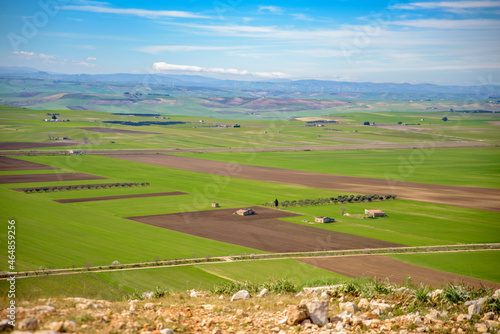 landscape with fields and blue sky in Puglia