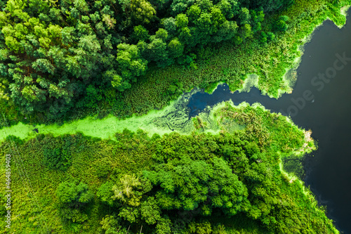 Fototapeta Naklejka Na Ścianę i Meble -  Flying above river and blooming algae in summer.