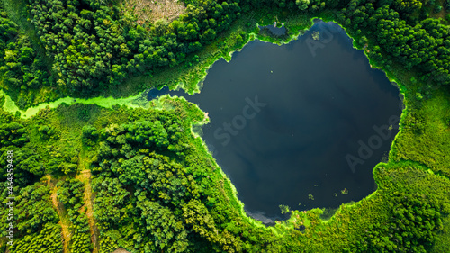 Aerial view of lake and blooming algae in summer.