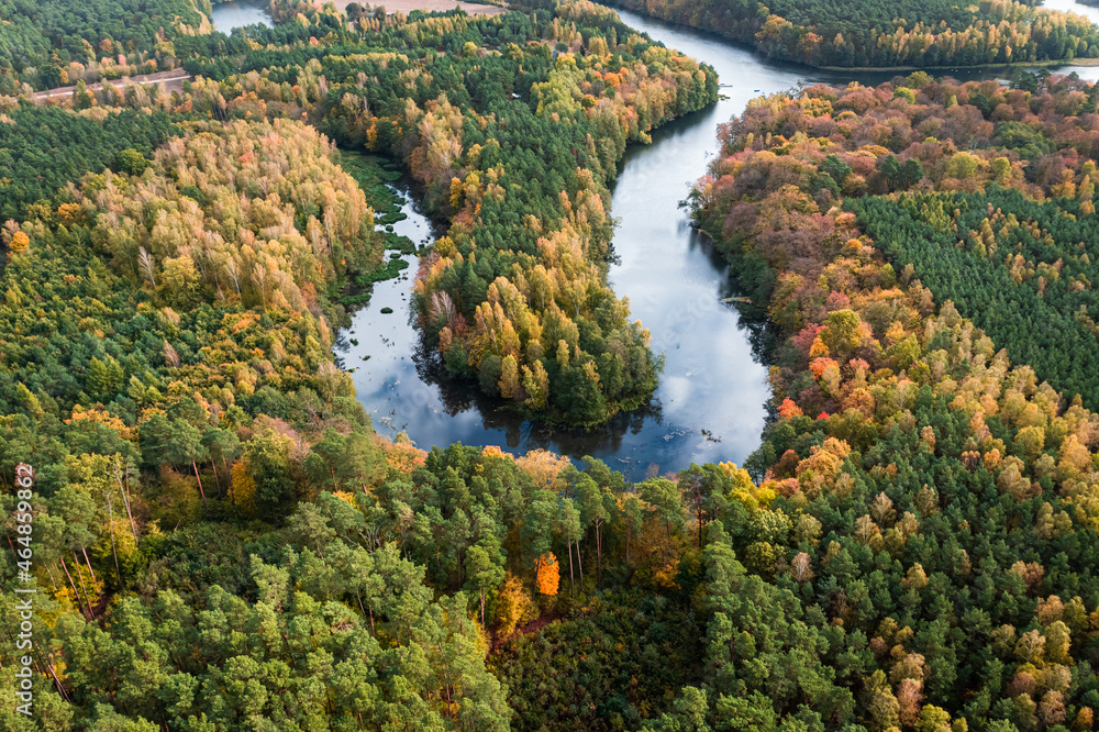 Stunning river and forest in autumn. Aerial view of wildlife. Stunning river and forest in autumn. Aerial view of wildlife.