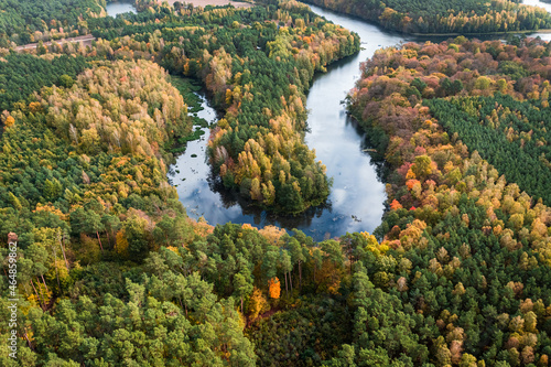 Stunning river and forest in autumn. Aerial view of wildlife.