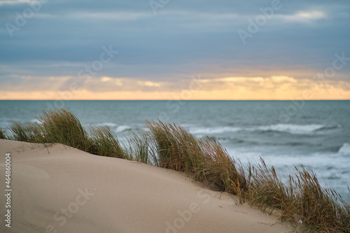 Dune at the danish coast with the north sea in the background.