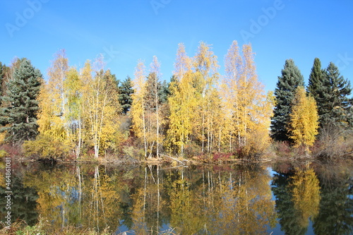 autumn trees on the lake  William Hawrelak Park  Edmonton  Alberta
