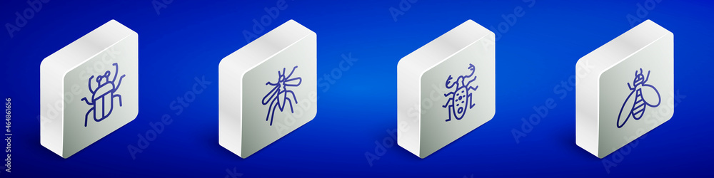 Set Isometric line Stink bug, Mosquito, Beetle deer and icon. Vector