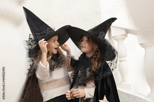 Portrait of two girlfriends in costumes for the halloween holiday, happy girls in witch hats