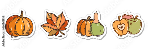 Colorful hand-drawn harvest stickers set with pumpkins, maple leaf, and apples in doodle style isolated on white background. Cute vector collection for seasonal decoration.