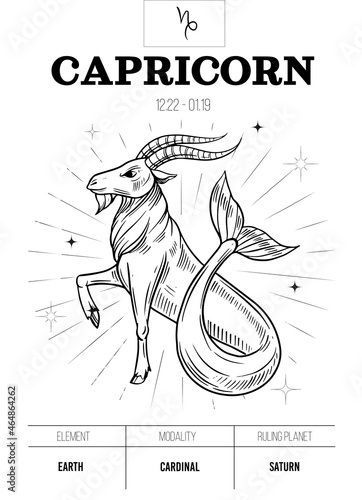 Capricorn. Zodiac simbol. Astrology sign, vector outline illustratoin