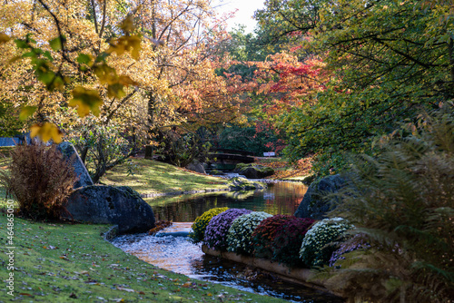 Japanese garden in Hasselt