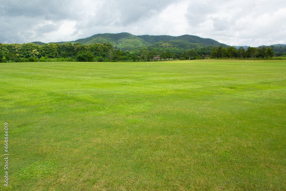 Landscape of green grass field and sky with Mountain Landscape of green grass field and sky with Mountain