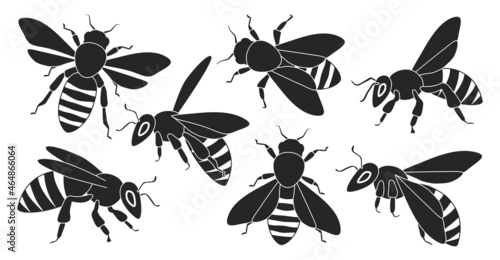 Honey bee isolated black set icon. Vector illustration animal of honeybee on white background. Vector black set icon honey bee .
