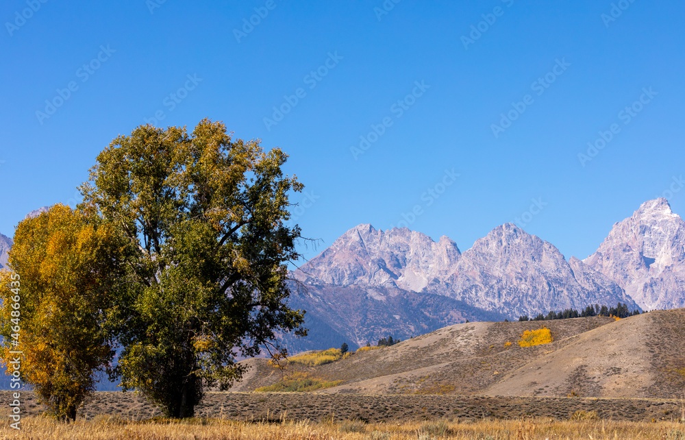 Scenic Landscape in Grand Teton National Park Wyoming in Autumn Scenic Landscape in Grand Teton National Park Wyoming in Autumn