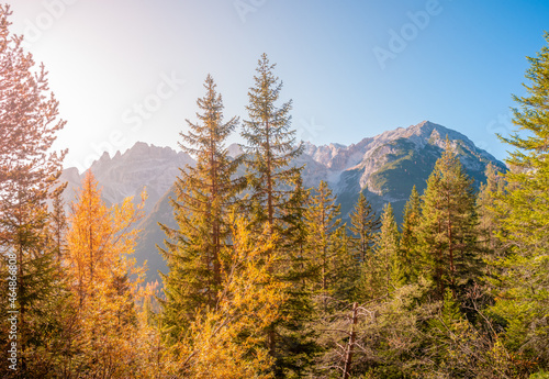 Panoramic view of magical nature in Dolomites at the national park Three Peaks (Tre Cime, Drei Zinnen) during sunset and golden Autumn, South Tyrol, Italy. © neurobite