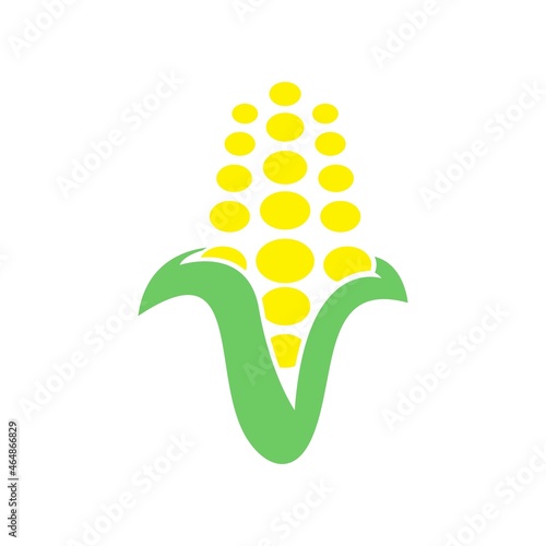 delicious tasty fresh corn maize perfect for eat vector illustration design