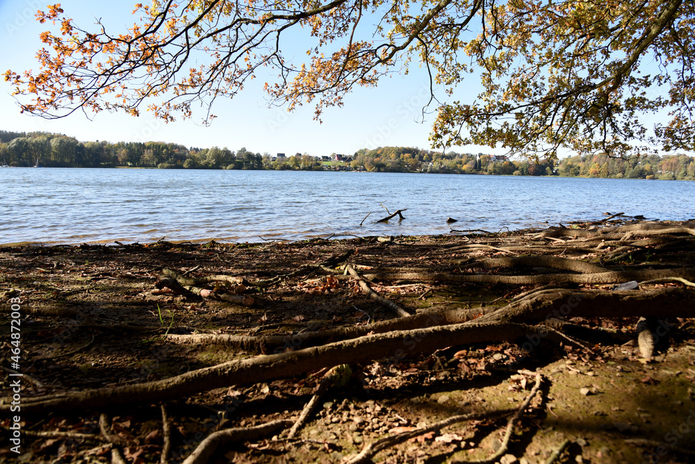 Seelandschaft im Herbst