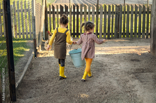 Children carry a blue bucket with food for chickens. Girls help children with household chores on the farm. Childhood in the village and friendship with pets and birds. Love and care for animals