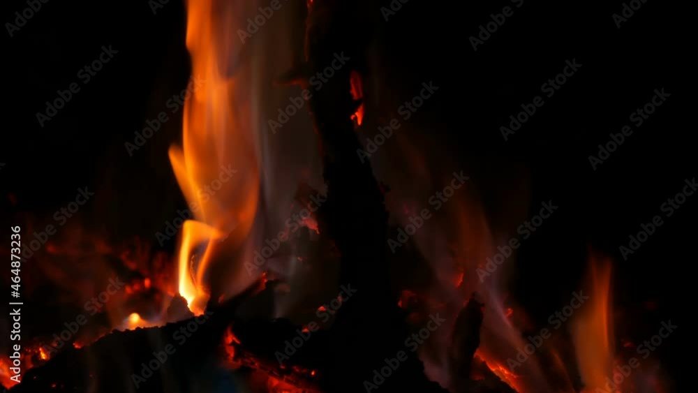 Multi-colored fire on burning wood in dark Multi-colored fire on burning wood in dark