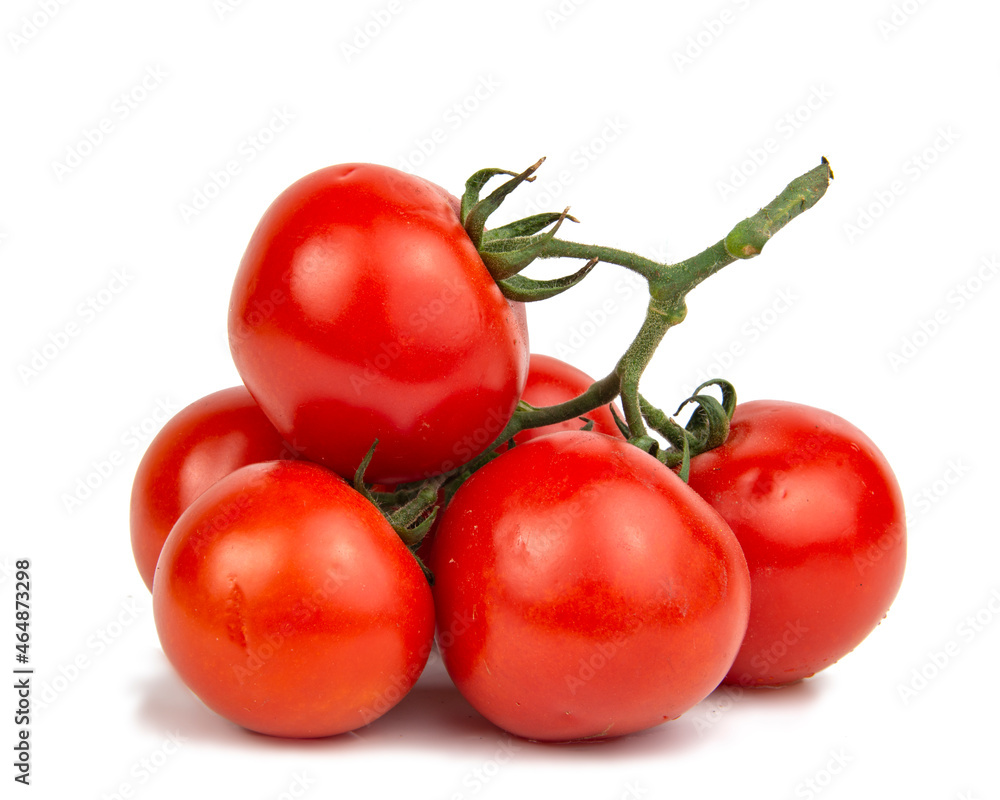 Tomatoes red branch plant isolated on the white background