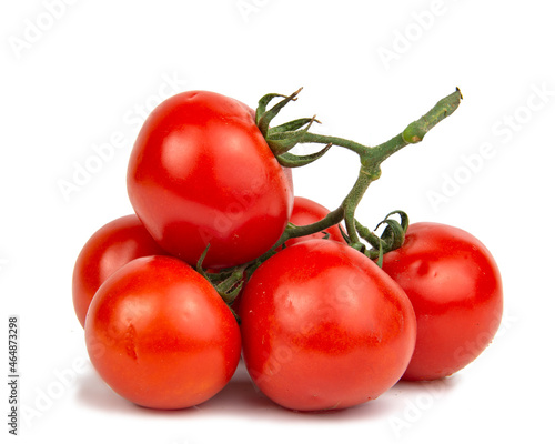 Tomatoes red branch plant isolated on the white background
