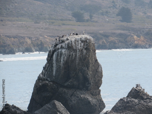California coastal rock