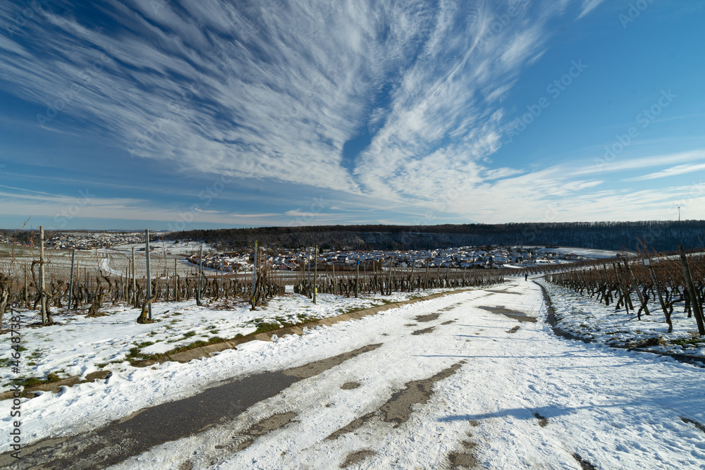 Vineyards Mundelsheim