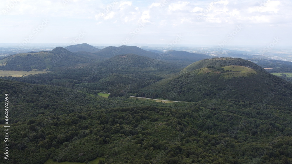 Obraz premium Paysage de foret 