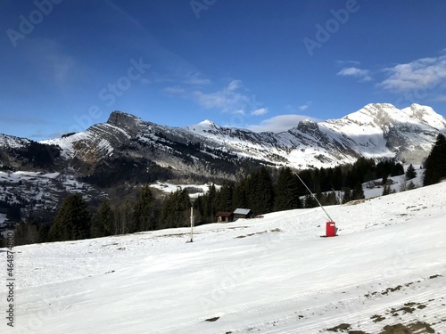 Paysage de montagne enneigé