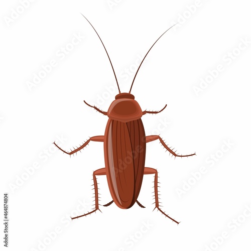 Cockroach insect isolated on white background, Pest bug icon top view. Flat body parasite pollution, roaches vector illustration