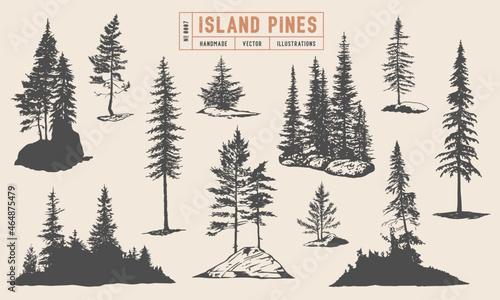 Pine tree silhouette vector hand drawn illustrations. Coniferous trees on the rocks, isolated on white background. 
