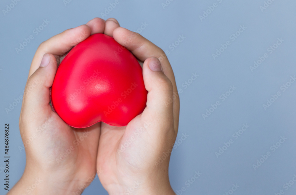 Red heart in child kid hands on blue background Red heart in child kid hands on blue background