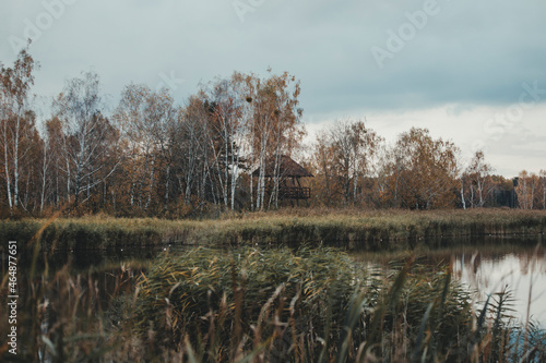 Perehod tourist trial, Poleski national park, Polesie, Poland. photo