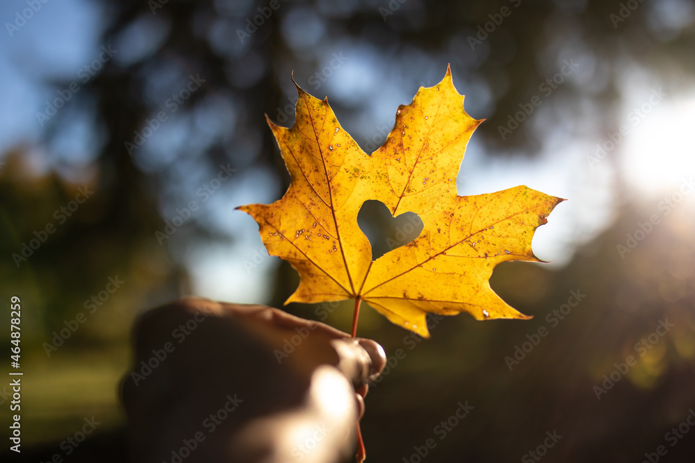 Schönes Herz in einem gelben Blatt im Herbst als Zeichen der Liebe und schöne Gefühle